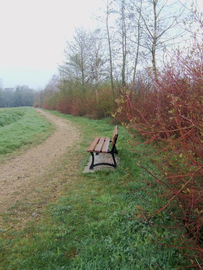 Saint-Carreuc Do Mi Si La Do Re Gite Partage מראה חיצוני תמונה